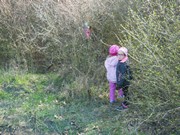 Ukliďme Česko - ukliďme cestu do lesa